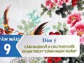 Dàn ý cảm nhận 6 câu thơ cuối đoạn trích Cảnh ngày xuân