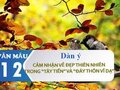 Dàn ý cảm nhận vẻ đẹp thiên nhiên trong Tây Tiến và Đây thôn Vĩ Dạ