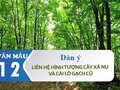 Dàn ý liên hệ hình tượng cây xà nu và cái lò gạch cũ