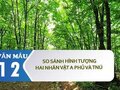 So sánh hình tượng hai nhân vật A Phủ và Tnú