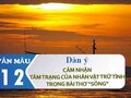 Dàn ý cảm nhận tâm trạng của nhân vật trữ tình trong bài Sóng