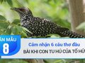 Cảm nhận 6 câu thơ đầu bài Khi con tu hú của Tố Hữu