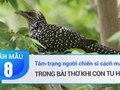 Tâm trạng người chiến sĩ cách mạng trong bài thơ Khi con tu hú