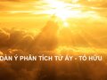 Dàn ý phân tích bài thơ Từ ấy của nhà thơ Tố Hữu