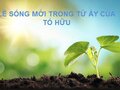 Phân tích lẽ sống trong bài thơ từ ấy của nhà thơ Tố Hữu