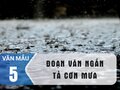 Những đoạn văn ngắn tả cơn mưa