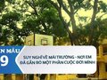Suy nghĩ về mái trường, nơi em đã gắn bó một phần cuộc đời của mình