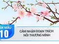 Cảm nhận đoạn trích Nỗi thương mình trong Truyện Kiều - Nguyễn Du