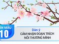 Dàn ý cảm nhận đoạn trích Nỗi thương mình trong Truyện Kiều - Nguyễn Du