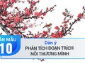 Dàn ý phân tích đoạn trích Nỗi thương mình trong Truyện Kiều - Nguyễn Du