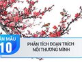 Phân tích đoạn trích Nỗi thương mình trong Truyện Kiều - Nguyễn Du