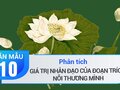 Phân tích giá trị nhân đạo của đoạn trích Nỗi thương mình 