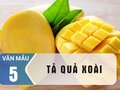 Văn mẫu 5 - Tả quả xoài