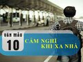 Bài văn viết về cảm nghĩ khi xa nhà