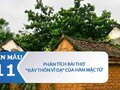 Phân tích bài thơ Đây thôn Vĩ Dạ của Hàn Mặc Tử