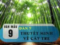 Dàn ý thuyết minh về cây tre