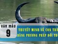 Thuyết minh về con trâu bằng phương pháp đối thoại