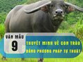 Thuyết minh về con trâu bằng phương pháp tự thuật