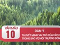 Dàn ý thuyết minh vai trò của cây cối trong việc bảo vệ môi trường sống