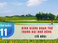 Bình giảng đoạn thơ trong bài Nhớ đồng của Tố Hữu