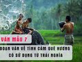 Viết đoạn văn ngắn về tình cảm quê hương có sử dụng từ trái nghĩa