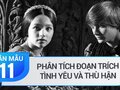 Phân tích đoạn trích Tình yêu và thù hận của Sếch-xpia