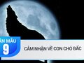 Cảm nhận về con chó Bấc của Giắc Lân- đơn