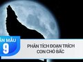 Phân tích đoạn trích Con chó Bấc của Giắc Lân-đơn