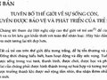 Tóm tắt Tuyên bố thế giới về sự sống còn, quyền được bảo vệ và phát triển của trẻ em