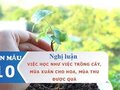 Nghị luận Việc học như việc trồng cây, mùa xuân cho hoa, mùa thu được quả
