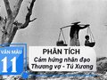 Cảm hứng nhân đạo trong bài thơ Thương vợ