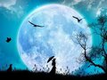 Phân tích khổ thơ đầu bài Ánh trăng của Nguyễn Duy