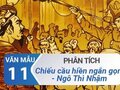 Phân tích Chiếu cầu hiền ngắn gọn