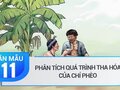 Phân tích quá trình tha hóa của Chí Phèo