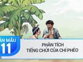 Phân tích tiếng chửi của Chí Phèo ở đầu truyện