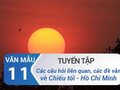 Các câu hỏi liên quan và các đề văn cho bài Chiều tối (Mộ) - Hồ Chí Minh