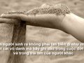 Dàn ý nghị luận xã hội Con người sinh ra không phải để tan biến như một hạt cát vô danh