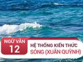 Kiến thức cơ bản bài Sóng - Xuân Quỳnh