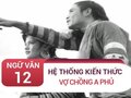 Hệ thống kiến thức bài Vợ chồng A Phủ - Tô Hoài