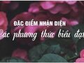 Đặc điểm nhận diện các phương thức biểu đạt bạn cần ghi nhớ