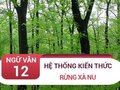 Kiến thức bài Rừng xà nu - Nguyễn Trung Thành