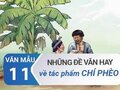 Những đề văn hay về tác phẩm Chí Phèo - Văn mẫu 11