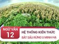 Kiến thức bài Bắt sấu rừng U Minh Hạ - Sơn Nam
