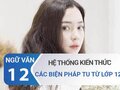 Hệ thống kiến thức Các biện pháp tu từ lớp 12
