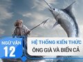 Kiến thức bài Ông già và biển cả - Hê-Minh-Uê