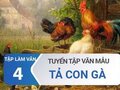 Tả con gà lớp 4