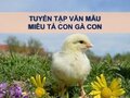 Tả con gà con