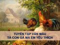 Tả con gà mà em yêu thích nhất