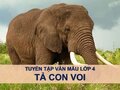 Văn hay tả con voi - Tập làm văn lớp 4