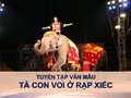 Văn mẫu tả con voi ở rạp xiếc hay nhất